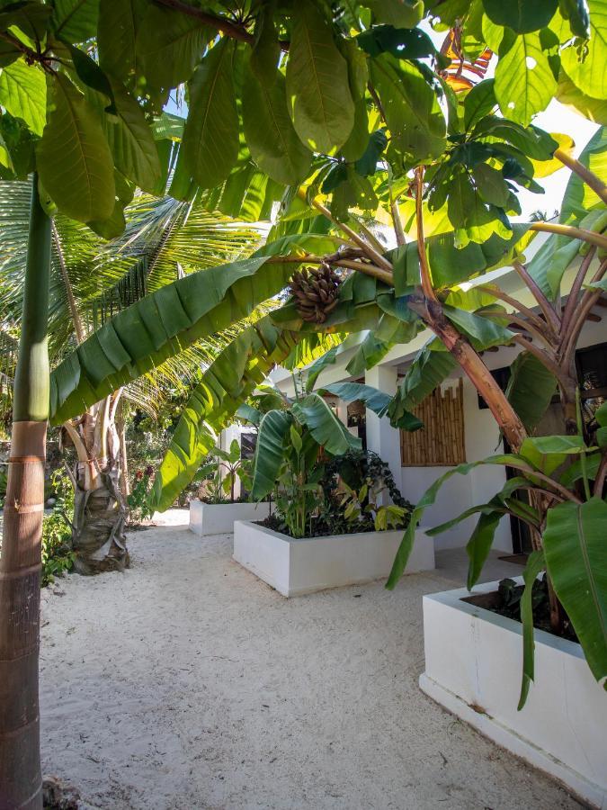 Tropical Oasis Boutique Hotel Michamvi Kae Ngoại thất bức ảnh